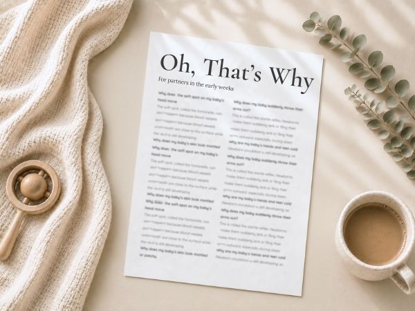 New dad and partner support printable guide for bonding with baby and navigating the newborn early weeks